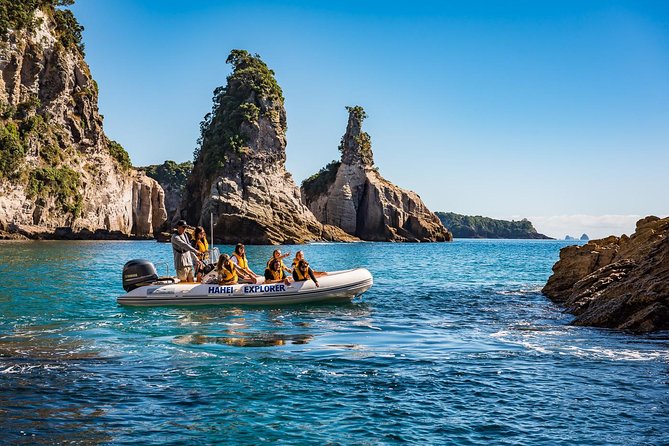 One Hour Cathedral Cove Boat Tour in Hahei - How the Hour Flows: Stop-by-Stop Guide to What You’ll See