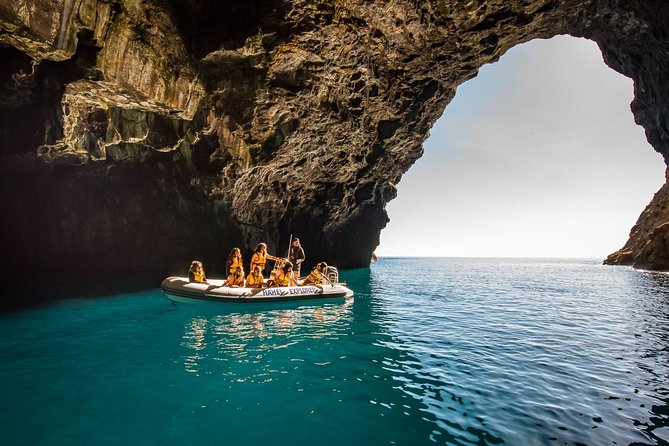 One Hour Cathedral Cove Boat Tour in Hahei - Guides Matter: Why the Commentary Changes the Whole Trip
