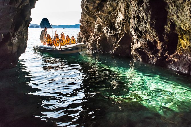 One Hour Cathedral Cove Boat Tour in Hahei - Price and Value: Is $89.98 Worth It?