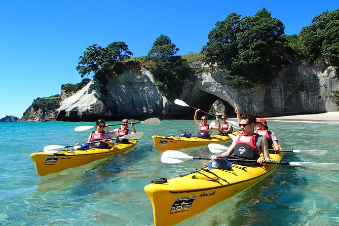 One Hour Cathedral Cove Boat Tour in Hahei - Who Should Book This Boat Tour (and Who Might Skip It)