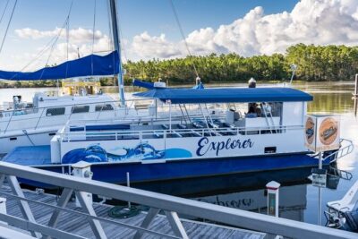 Orange Beach Dolphin Eco Boat Tour - The Explorer experience: creeks, swamps, and what your captain points out