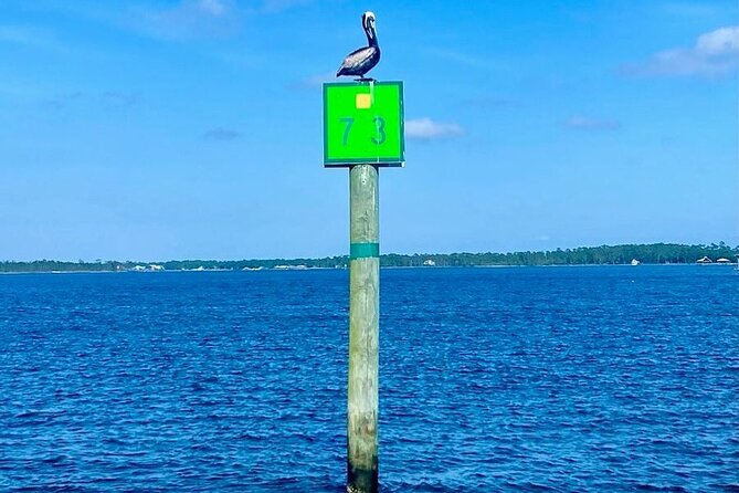 Orange Beach Dolphin Eco Boat Tour - Orange Beach views from the water: what you’re really paying for