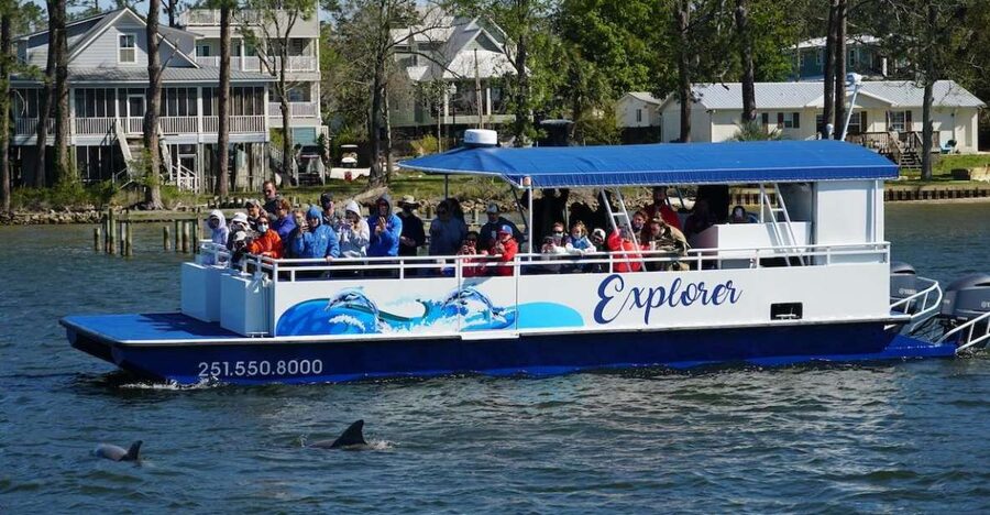 Orange Beach: Dolphin-Watching Eco-Boat Tour - Key things to know before you go