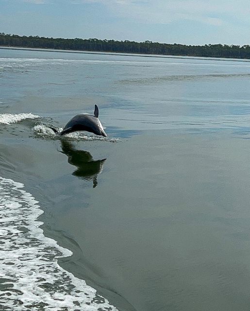 Orange Beach: Dolphin-Watching Eco-Boat Tour - Getting to Cetacean Cruises and Boarding The Explorer in Orange Beach