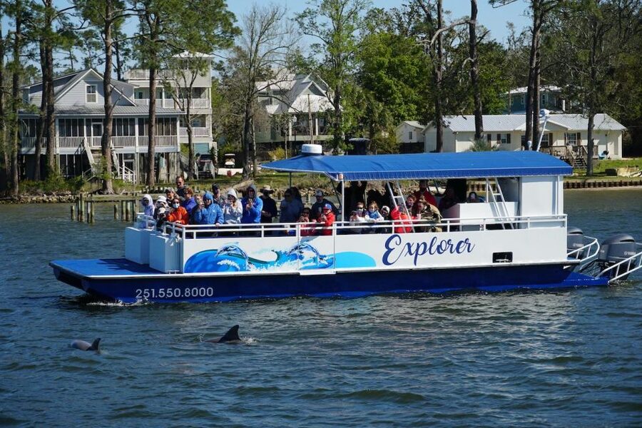 Orange Beach: Dolphin-Watching Eco-Boat Tour - Onboard Comfort: Restroom, Bar Service, and Staying Warm