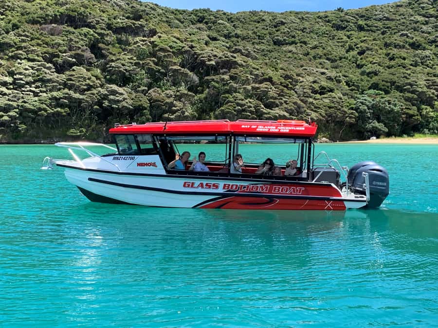 Paihia: Glass Bottom Boat Tour to the Hole in the Rock - Key highlights that make this tour worth your time