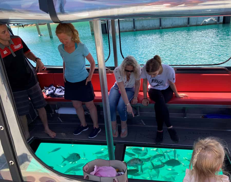 Paihia: Glass Bottom Boat Tour to the Hole in the Rock - From Paihia’s Main Wharf to the first big views