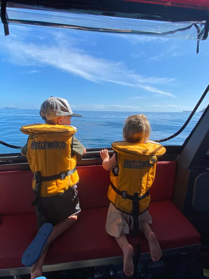 Paihia: Glass Bottom Boat Tour to the Hole in the Rock - Who should book this glass-bottom boat tour