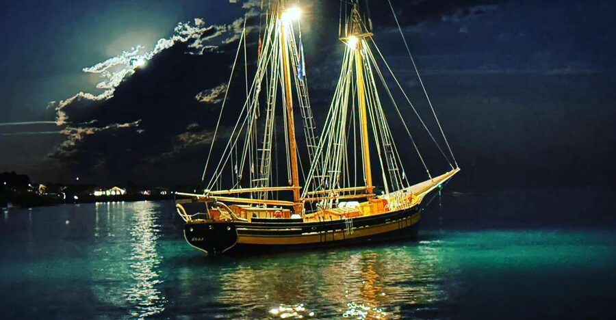 Palamós: Sunset Boat Tour with Glass of Cava - Leaving Palamós Port: simple check-in, quick start