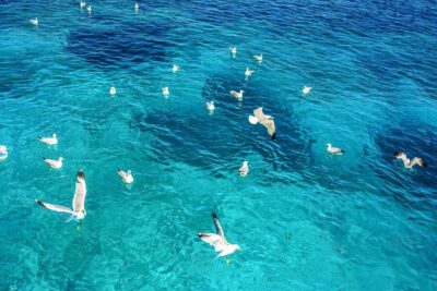 Palau: La Maddalena Archipelago and Caprera Island Boat Tour - From Palau (or Overnight La Maddalena) to La Maddalena’s Historic Streets