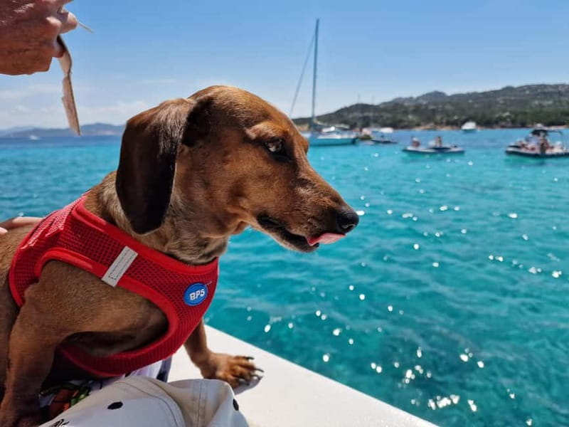 Palau: La Maddalena Archipelago Boat Tour with 4 Stops - The route in plain English: from Spargi to La Maddalena