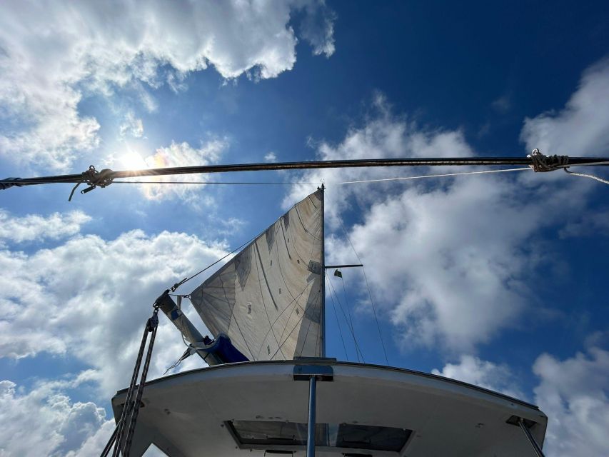Palermo: Full-Day Snorkeling Boat Tour with Lunch and Wine - Where You Start (Piazza Tonnara) and How the Day Sets Up Smoothly