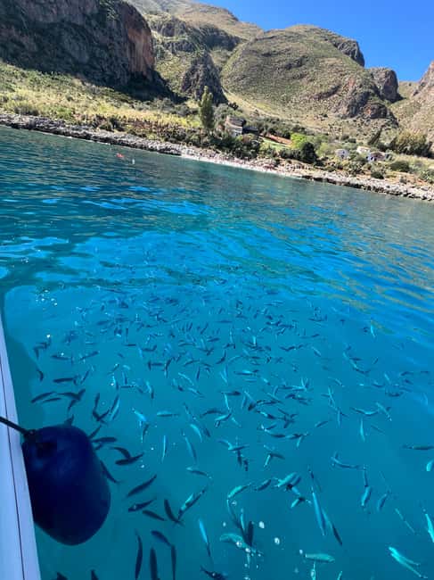 Palermo: Mondello Boat Tour and Nature Reserve with Snacks and Drinks - Service on board: skipper energy, music, and the snack-and-drink rhythm