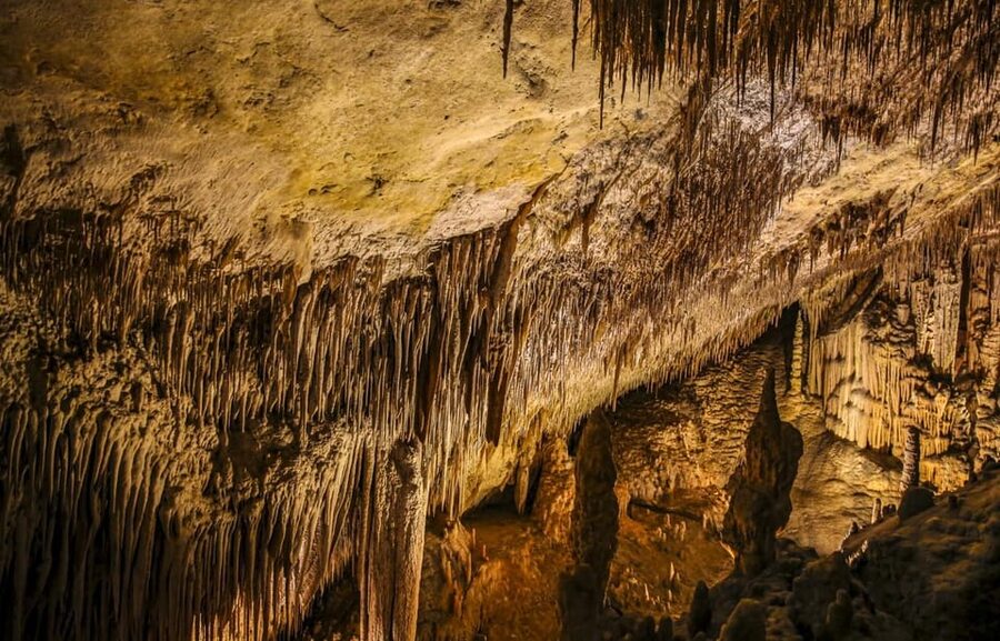 Palma: Caves of Drach Entrance, Music Concert, and Boat Trip - Plan for the stairs and the crowd rhythm
