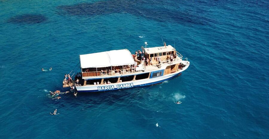 Palma de Mallorca: Palma Bay Boat Tour with Snorkeling - The swim and snorkeling stop: what to expect when the boat drops anchor