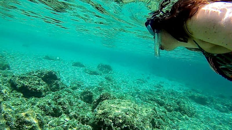 Palma de Mallorca: Private Boat Tour with Snorkel and Paddle - Drinks, music, and the group size sweet spot