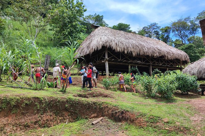 Panama: Embera Tribe Express Tour with Lunch 5h - The 5-hour reality: getting picked up and what the timing means