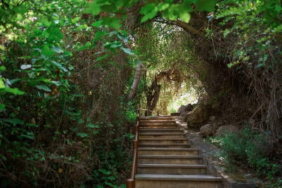 Paphos/Akamas: Blue Lagoon Bus & Boat Tour with Water Slide - Edro III shipwreck, sea caves, and what those stops add
