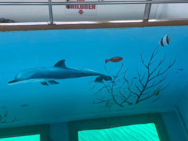 Paphos: Glass Bottom Boat Trip with Swimming or Snorkeling - Sea conditions and route changes: what to expect when the weather turns