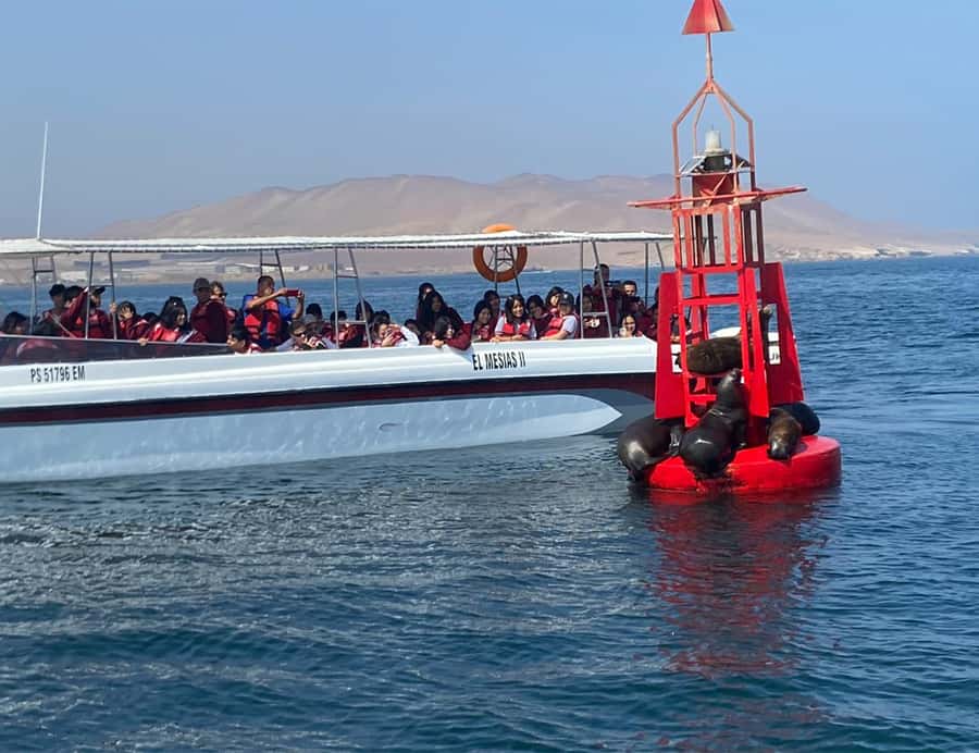 Paracas: Ballestas Islands Morning Boat Tour - What’s Included (So You Can Pack Smart)