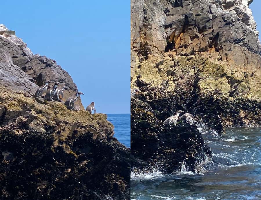 Paracas: Ballestas Islands Morning Boat Tour - El Candelabro de Paracas: The Andes Candelabra From the Water