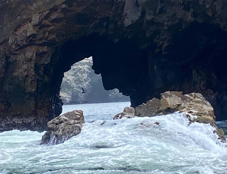 Paracas: Ballestas Islands Morning Boat Tour - Price and Value: Why $17 Can Make Sense Here