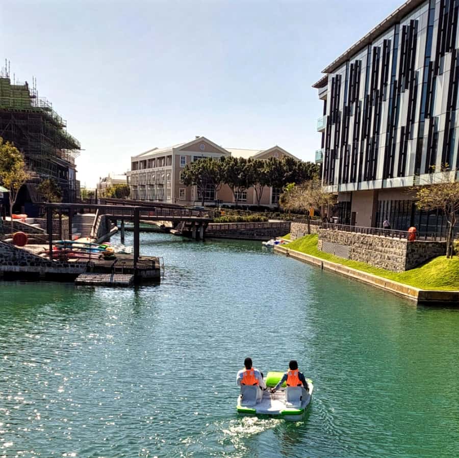 Pedal Boat Ride V&A Waterfront - Cape Town - Price and value: why $9 makes sense here