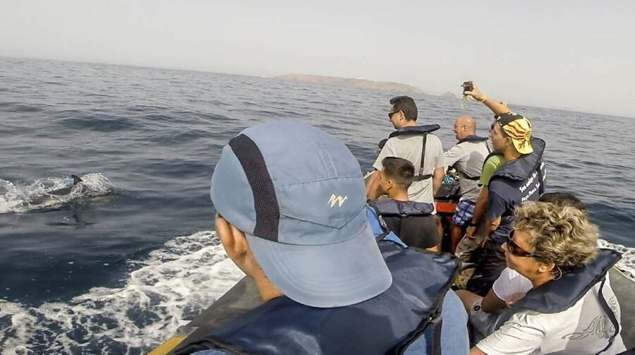 Peniche: Dolphin Route Boat Trip - Why dolphin viewing feels special when the animals are truly wild