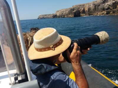 Peniche: Dolphin Route Boat Trip - Roaz Corvineiro: the dolphin species you’re hoping to see