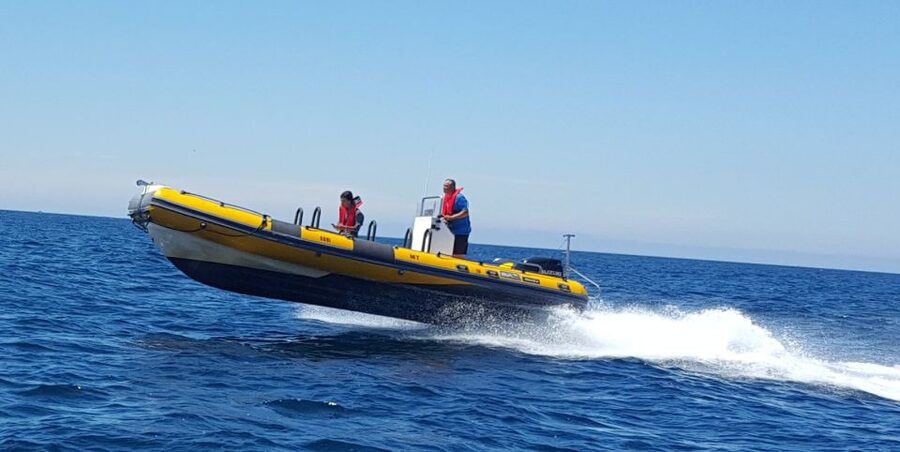 Peniche: Dolphin Route Boat Trip - Price and value: is $53 worth a short dolphin route?