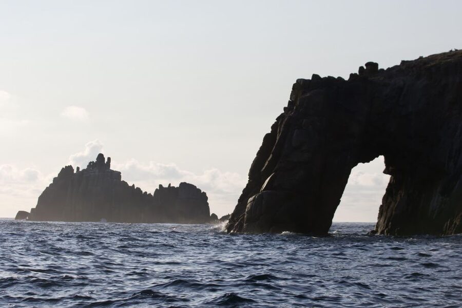 Penzance: Land's End Boat Tour with Wildlife Guides - On-Water Guides: Marine Biology Meets Local Stories
