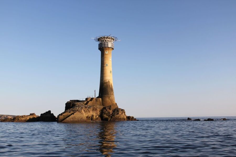 Penzance: Land's End Boat Tour with Wildlife Guides - Price and Value: Is $83 Worth a Fast, Weather-Dependent Wildlife Trip?