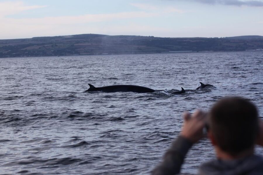 Penzance: Land's End Boat Tour with Wildlife Guides - Rounding Land’s End: Longship Lighthouse and the Moment the Coast Changes Mood
