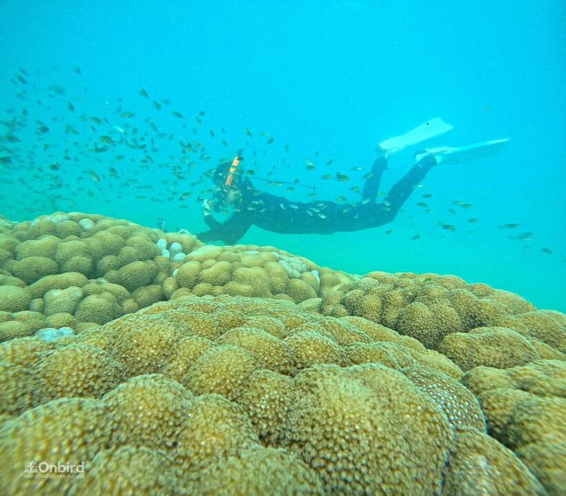 Phu Quoc: Speed Boat Tour 4 Islands - 2 Reefs Snorkeling - Why this MAX 12 speed-boat setup matters in Phu Quoc