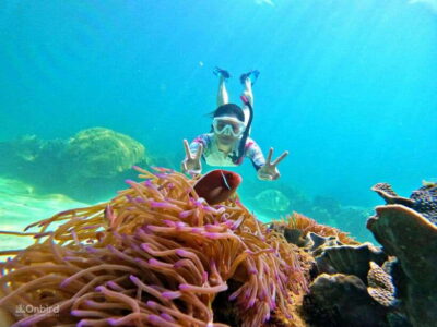 Phu Quoc: Speed Boat Tour 4 Islands - 2 Reefs Snorkeling - Price and what you really get for $47