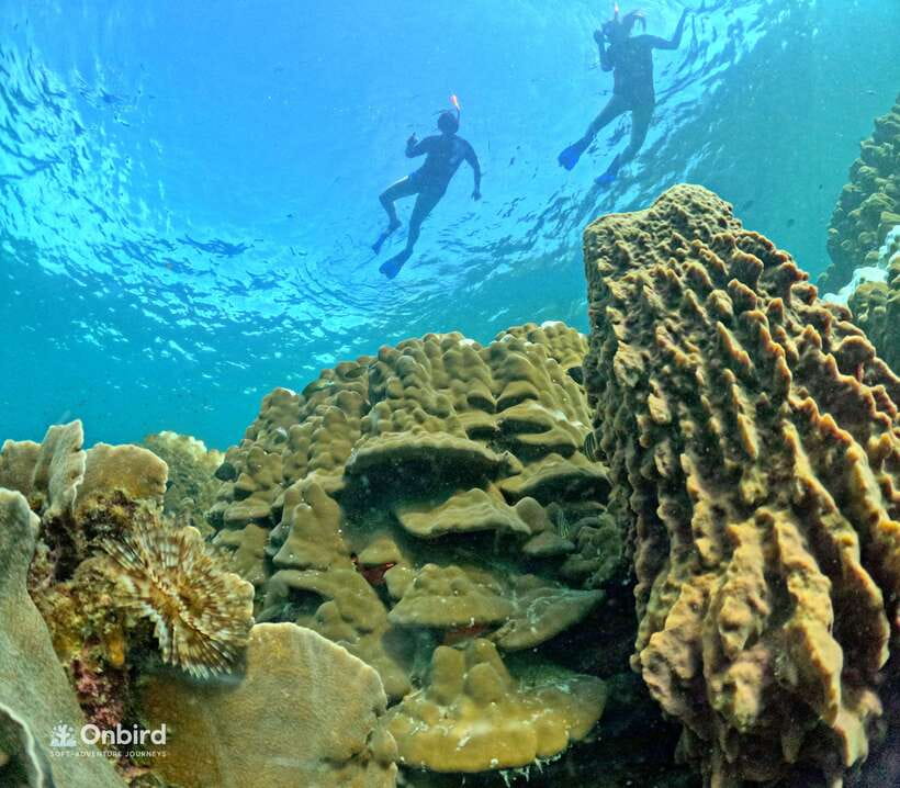 Phu Quoc: Speed Boat Tour 4 Islands - 2 Reefs Snorkeling - The speed-boat ride: cold water, sanitation, and a reef-first plan