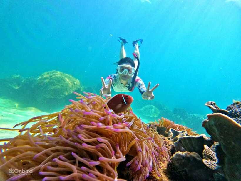 Phu Quoc: Speed Boat Tour 4 Islands - 2 Reefs Snorkeling - Gear and reef rules: how not to ruin your day or the water