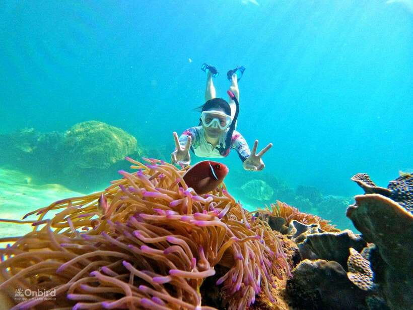 Phu Quoc: Speed Boat Tour 4 Islands - 2 Reefs Snorkeling - Price and what you really get for $47