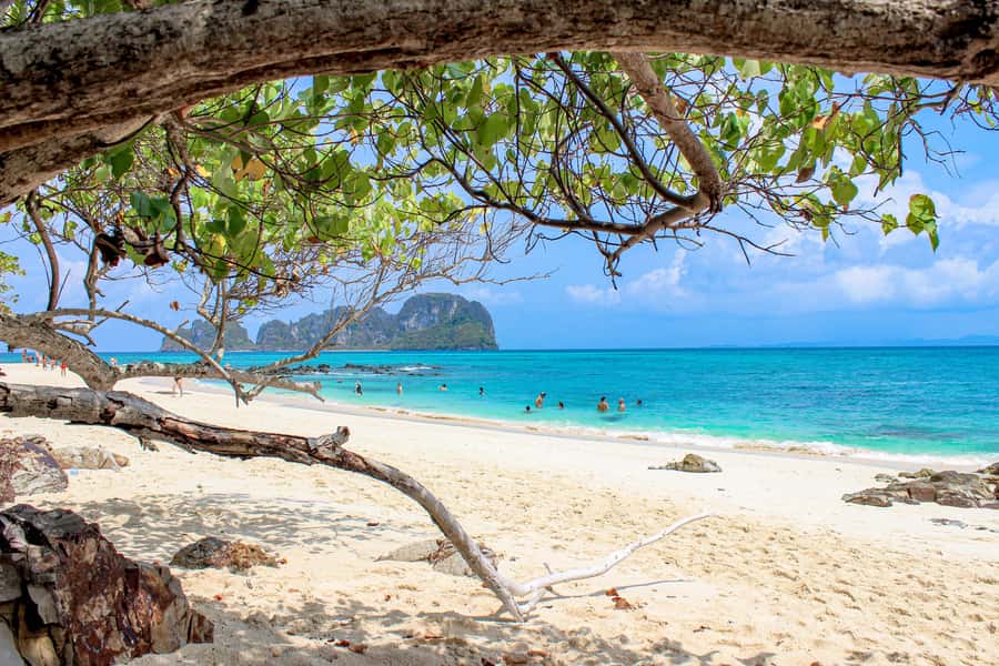 Phuket: Phi Phi Sunrise Boat Tour to Bamboo and Khai Island - Monkey Beach and the rhythm between swim stops
