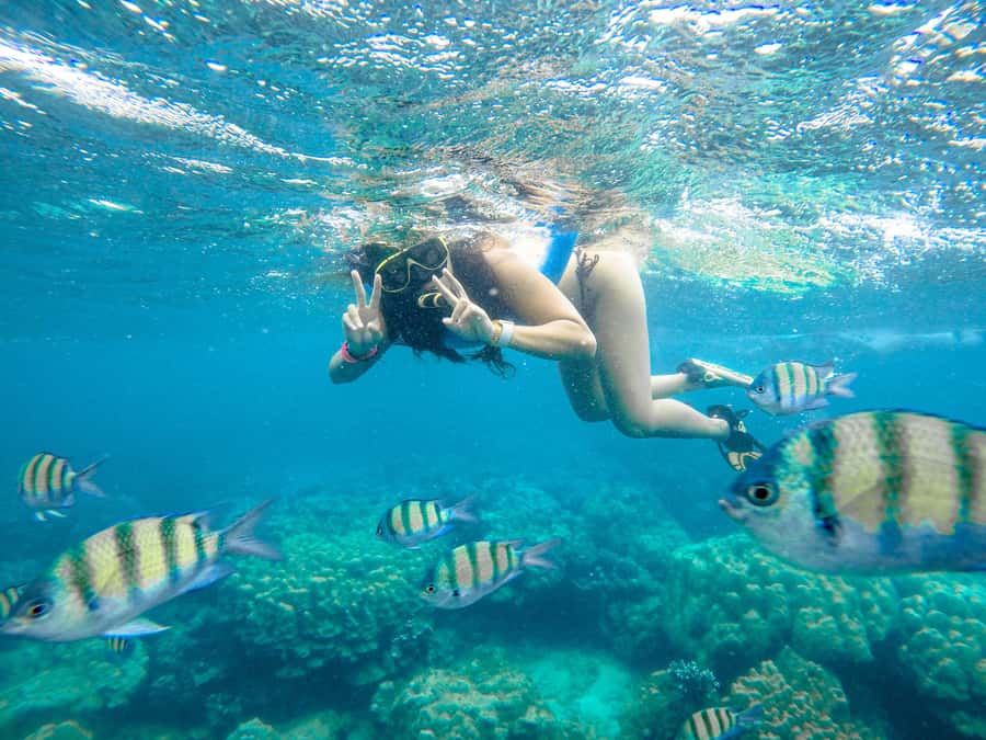 Phuket: Phi Phi Sunrise Boat Tour to Bamboo and Khai Island - Bamboo Island beach time plus a final snorkeling hit