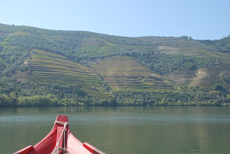 Pinhão: 2-Hour Rabelo Boat Tour with Audio Guide - What makes this stretch special (and why two hours feels right)
