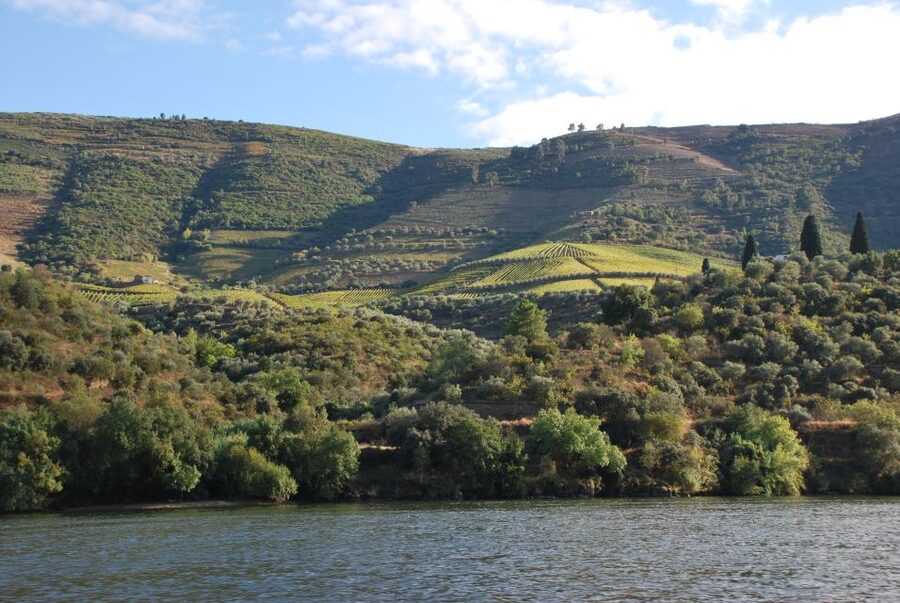 Pinhão: 2-Hour Rabelo Boat Tour with Audio Guide - Who should book this Rabelo cruise