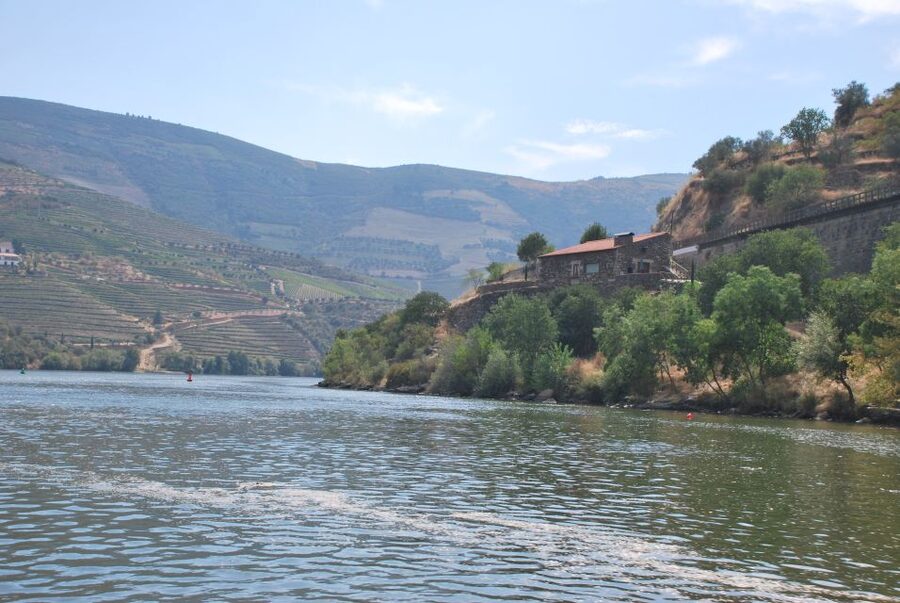 Pinhão: 2-Hour Rabelo Boat Tour with Audio Guide - The boat: old-school rabelo comfort in real-life weather