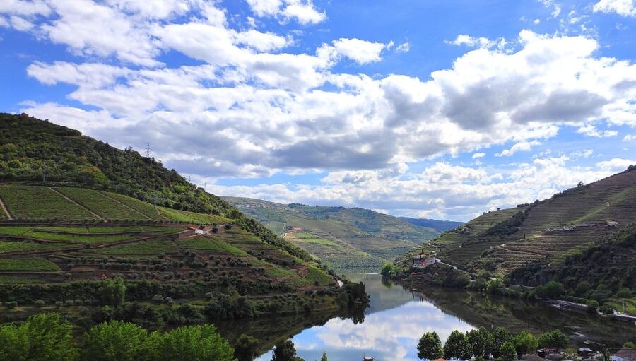 Pinhão: Douro River 50-min Boat Trip with Port Wine - On-board guides: humor, clear stories, and real answers