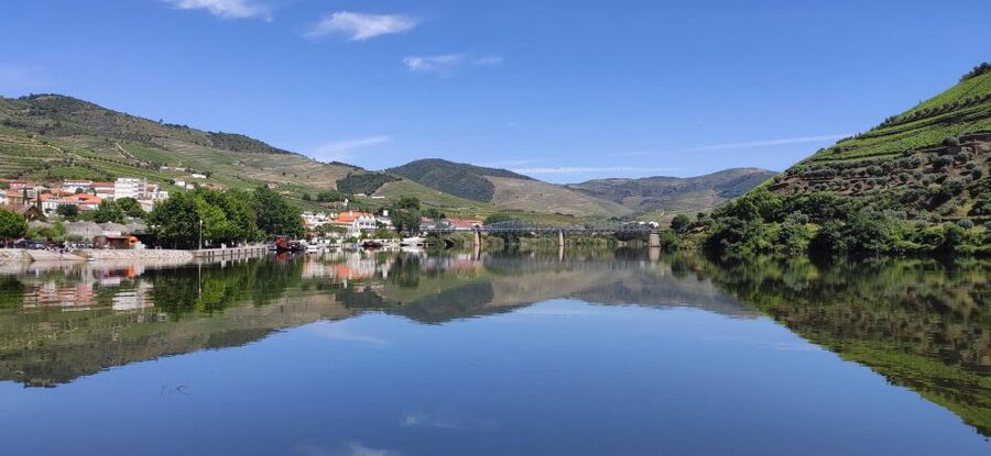 Pinhão: Douro River 50-min Boat Trip with Port Wine - Meeting at Douro Tours: what matters on arrival