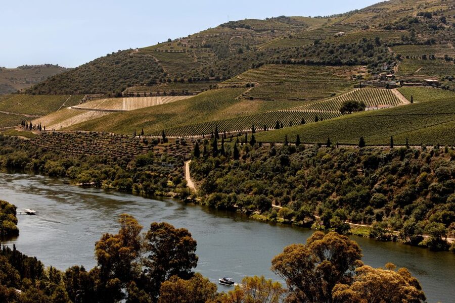 Pinhão: Douro River Boat Tour with Lunch - Who should book this Douro boat + lunch tour?