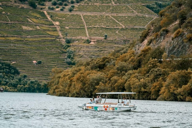 Pinhão: Douro River Solar Boat Tour with Wine Tasting - What to bring so your hour stays comfortable