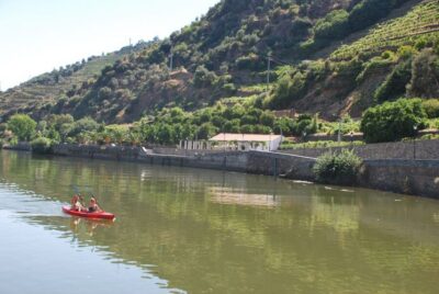 Pinhão: Douro Valley Rabelo Boat Tour and Kayak Experience - The 1-Hour Upstream Boat Cruise Sets the Tone