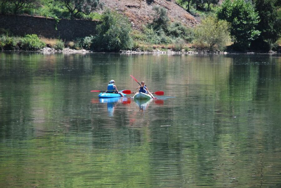 Pinhão: Douro Valley Rabelo Boat Tour and Kayak Experience - How the River Conditions Affect Your Paddling Day