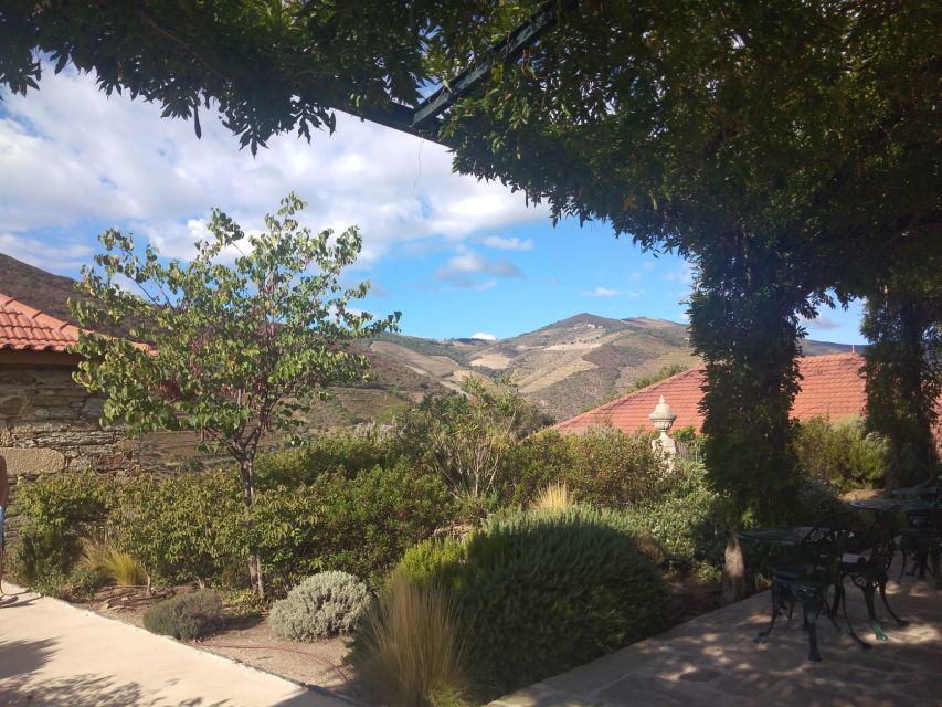 Pinhão: Douro Valley with Wine Tasting, Boat Trip and Lunch - Wine Tasting Format and What You’ll Actually Drink
